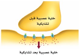 خلايا عصبية